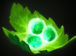 混沌骑士(DOTA2英雄)