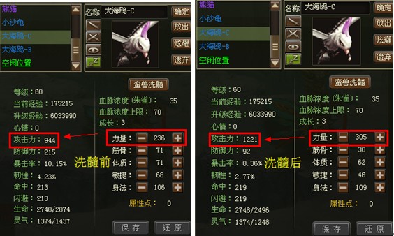 蛮宠3 蛮宠3