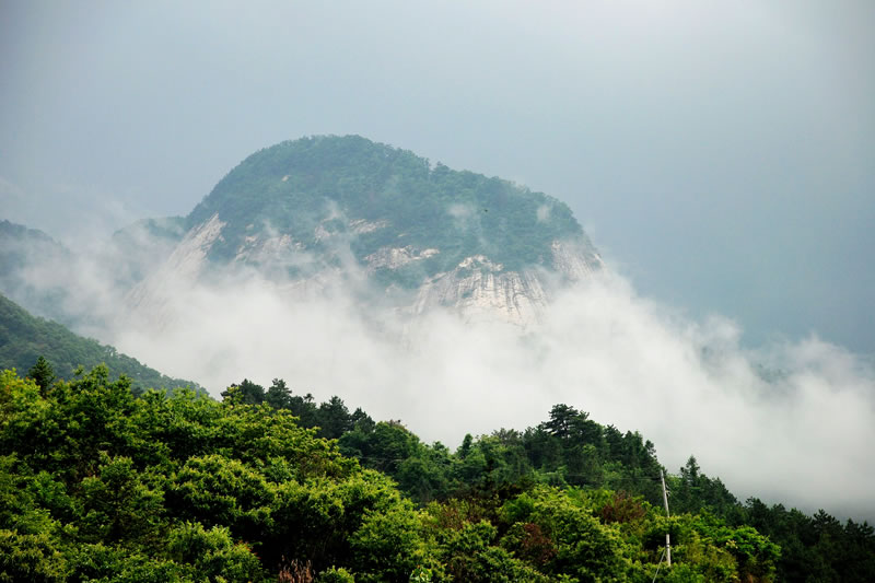 湖北大别山国家级自然保护区 湖北大别山国家级自然保护区