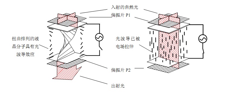 图1 图1