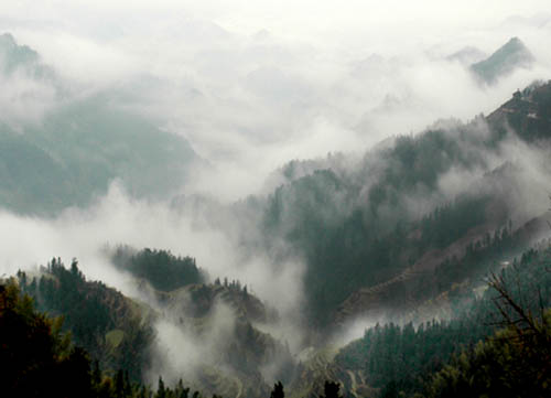 湖南雪峰山国家森林公园 湖南雪峰山国家森林公园