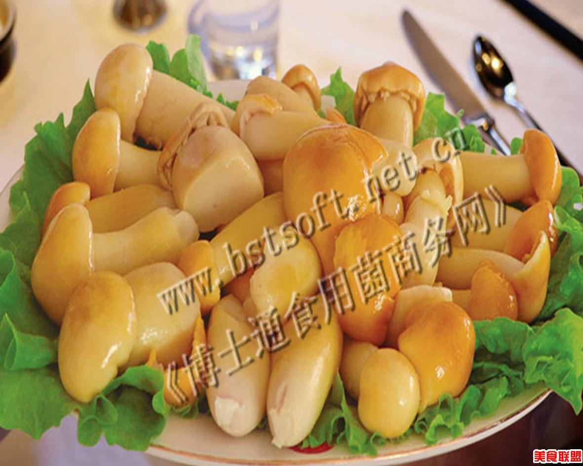 鲜品滑子菇 鲜品滑子菇
