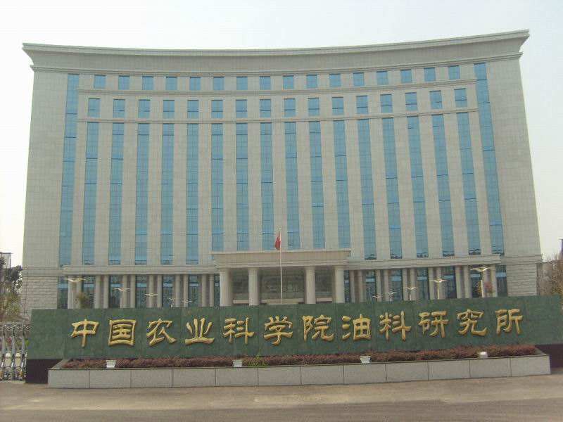 中油