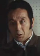 追捕(1976年高仓健主演电影)