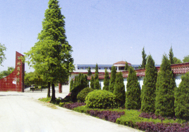 岩瑞镇 岩瑞镇