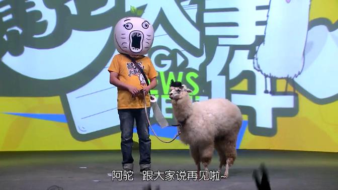 暴走大事件第一季