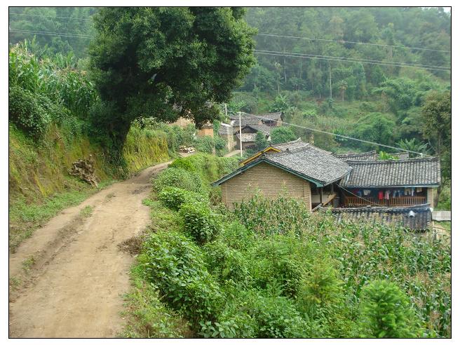 哑口自然村通村道路 哑口自然村通村道路