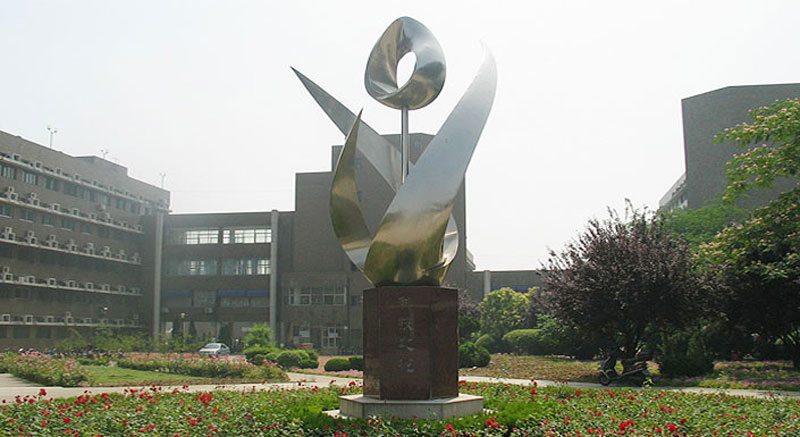 科技之花 科技之花