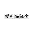 投标保证金 投标保证金