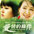 爱情的条件(韩国2004年金宗昌导演电视剧) 爱情的条件(韩国2004年金宗昌导演电视剧)