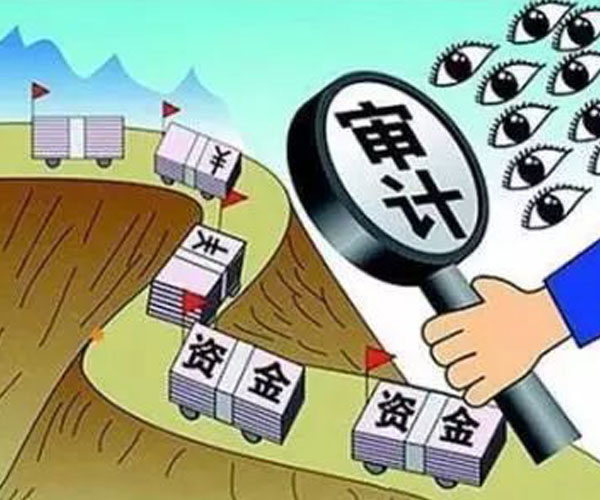 公共资源审计 公共资源审计