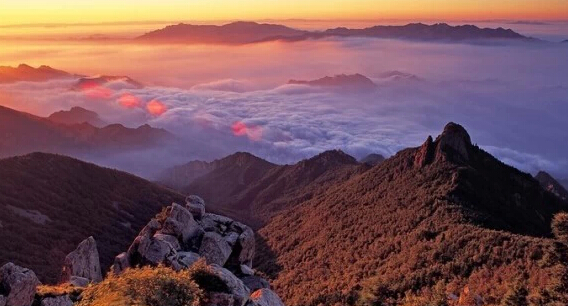 山东蒙山 山东蒙山