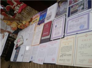非遗“梅花篆字”获得荣誉(部分) 非遗“梅花篆字”获得荣誉(部分)