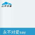 永不对爱say goodbye 永不对爱say goodbye