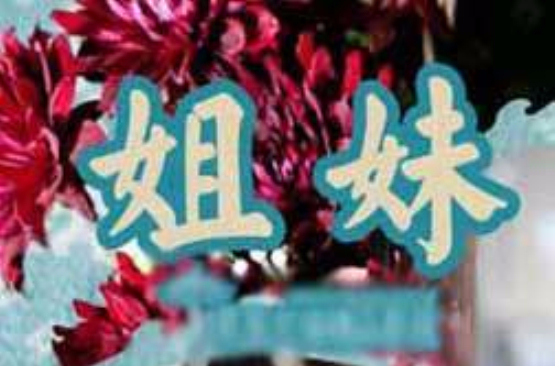 姐妹(日本2009年小泽征悦主演电视剧) 姐妹(日本2009年小泽征悦主演电视剧)