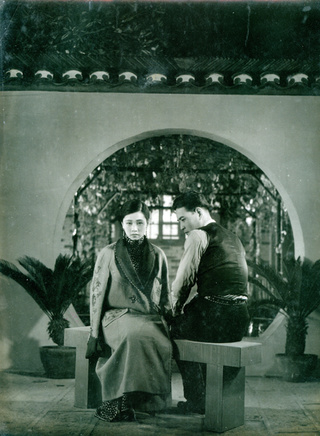 阮玲玉(中国内地女演员)