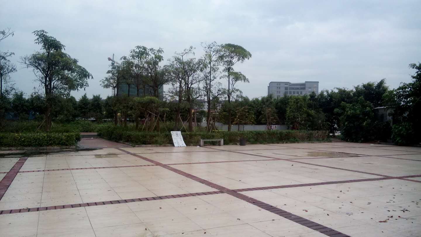 飞翔公园站 飞翔公园站