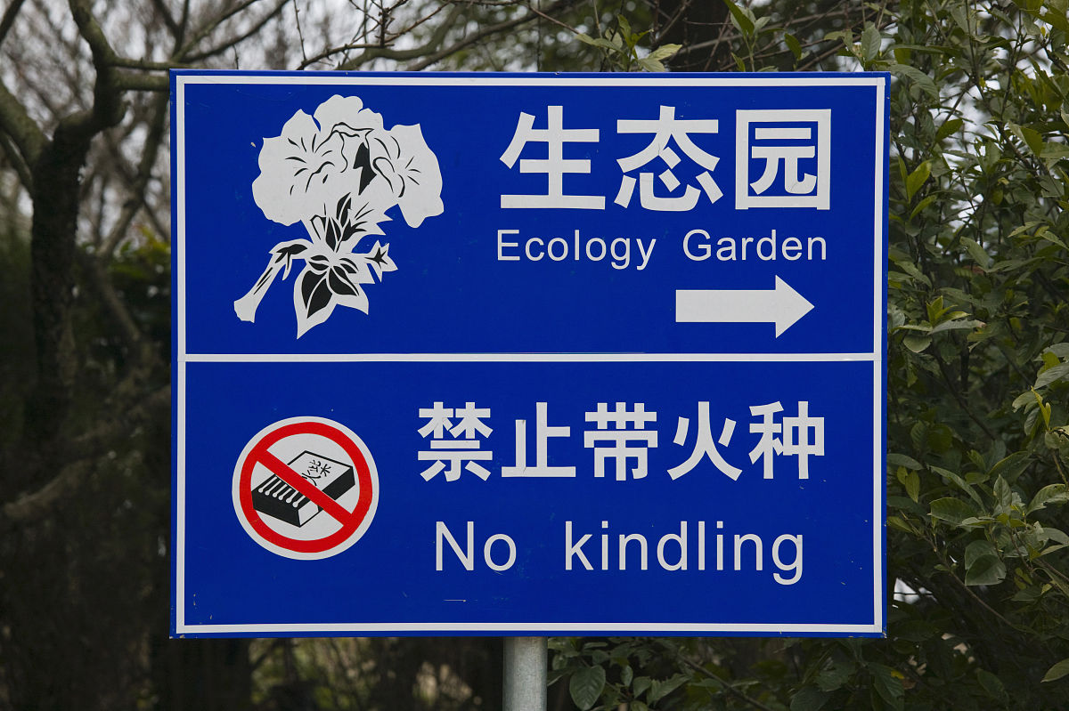 中式英语(带有汉语辞彙、语法、表达习惯的英语)