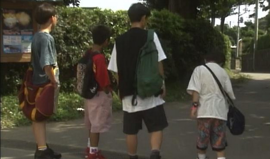 烟花(日本1993年岩井俊二执导电影) 烟花(日本1993年岩井俊二执导电影)