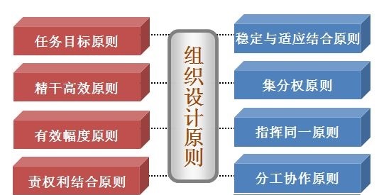 组织设计原则 组织设计原则