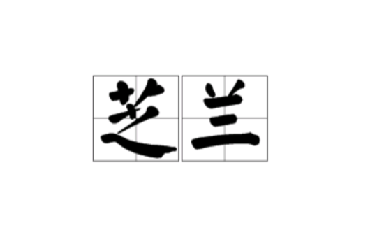 芝兰 芝兰
