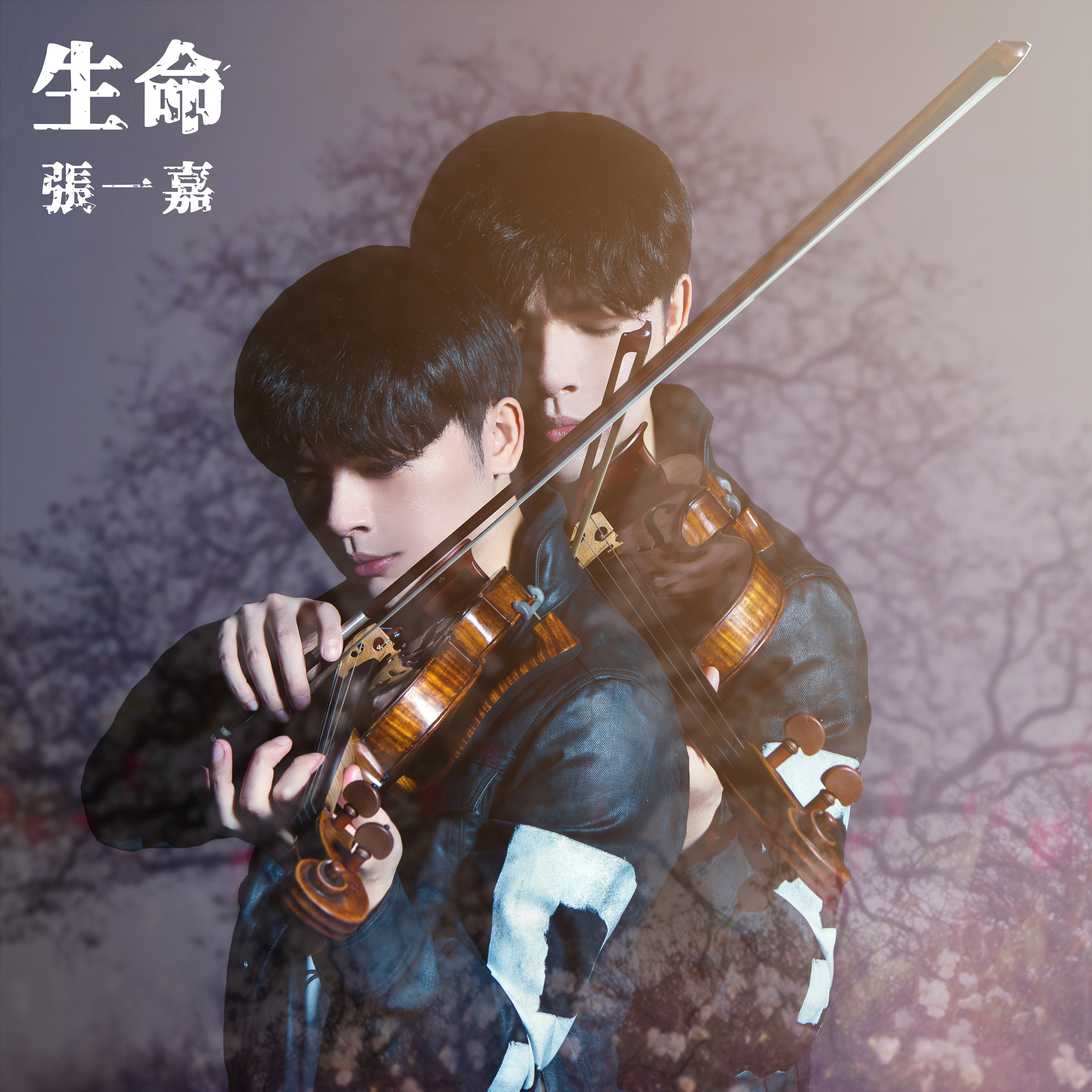 make you feel my love(张一嘉演唱歌曲) make you feel my love(张一嘉演唱歌曲)