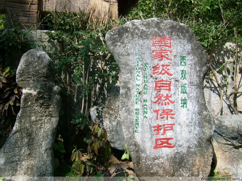 热带雨林自然保护区 热带雨林自然保护区