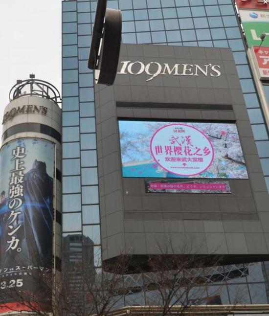 武大樱花广告登入东京 武大樱花广告登入东京
