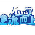 总有一天(SNH48公演曲目) 总有一天(SNH48公演曲目)