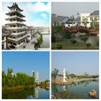 洋河新区 洋河新区