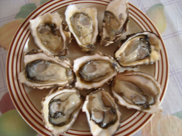 海蛎 海蛎