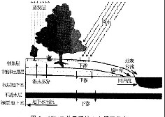 地下水体系作用势 地下水体系作用势