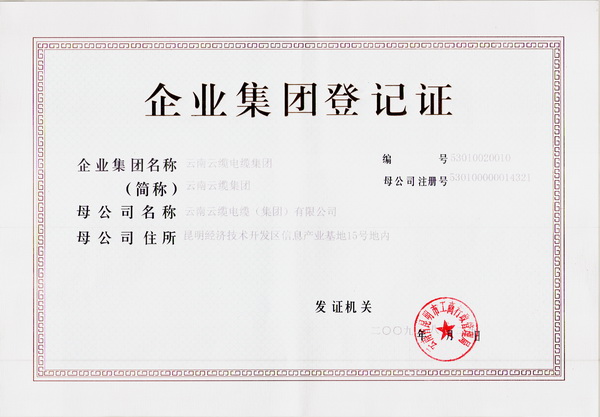 企业集团 企业集团