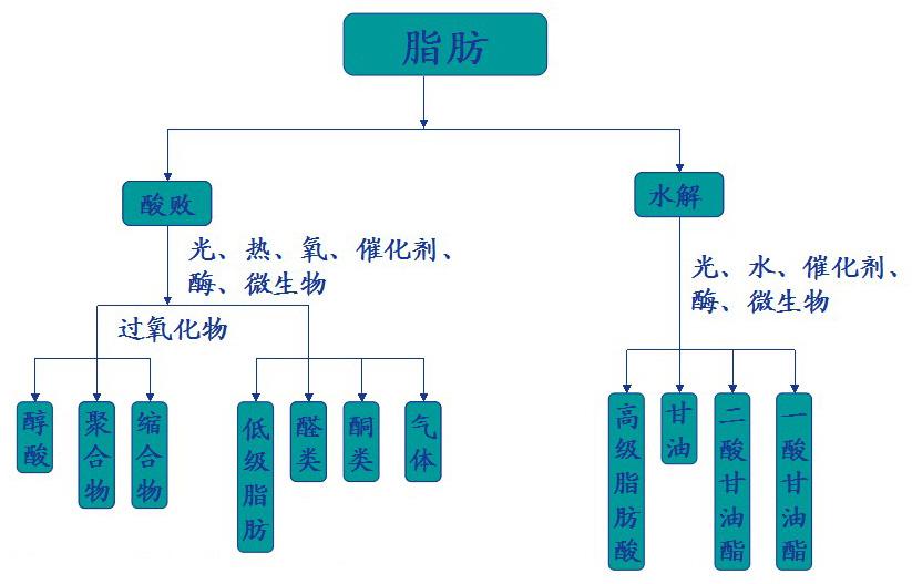 中性脂肪 中性脂肪