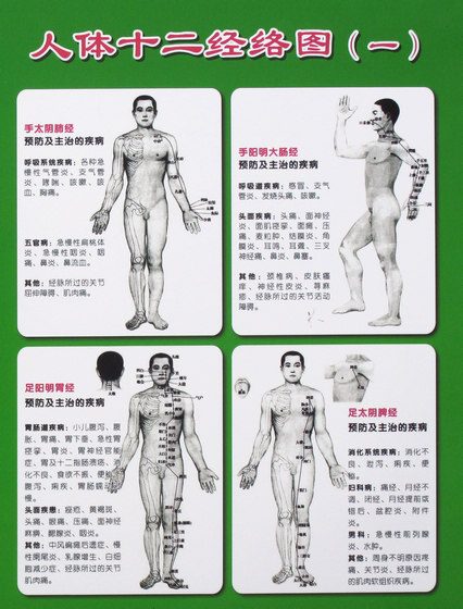 十二经络 十二经络