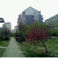 太阳城丹荔园 太阳城丹荔园