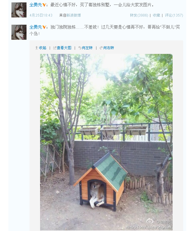 最近心情不好体 最近心情不好体