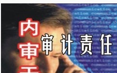 审计责任 审计责任