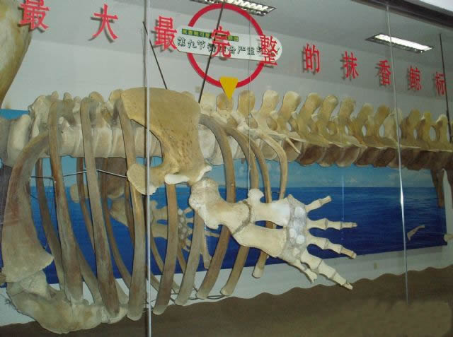 厦门海底世界 厦门海底世界