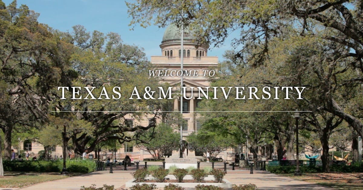 TAMU TAMU