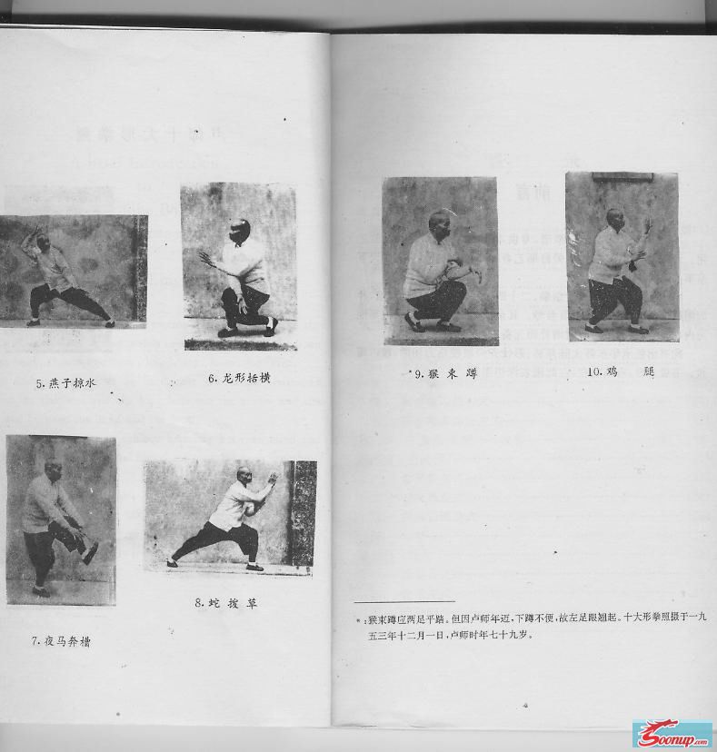 卢嵩高大师演练十大形 卢嵩高大师演练十大形
