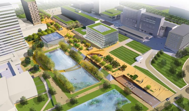 伊拉斯姆斯大学(鹿特丹大学) 伊拉斯姆斯大学(鹿特丹大学)