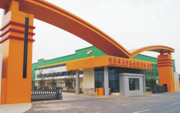 东鹏饮料 东鹏饮料