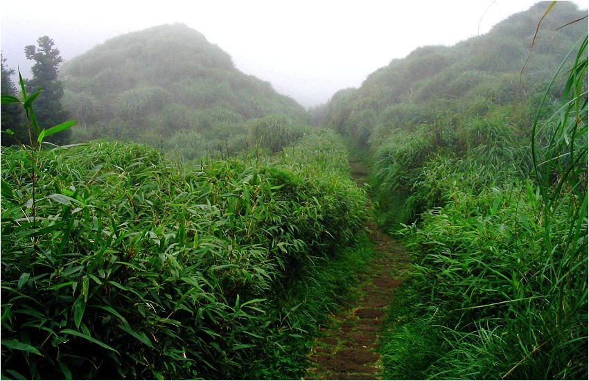 登山小径 登山小径