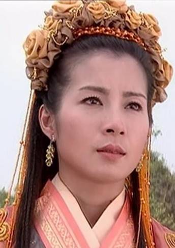 杨门女将之女儿当自强(杨门女将昊天塔)