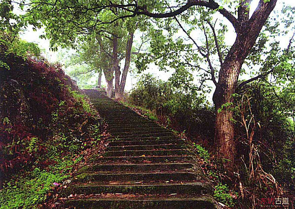 东坑古道 东坑古道