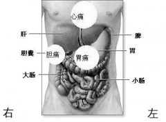 肠胃痉挛 肠胃痉挛