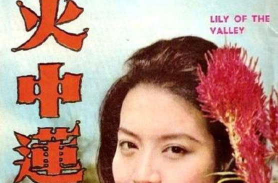 火中莲(1962年王天林导演香港电影) 火中莲(1962年王天林导演香港电影)
