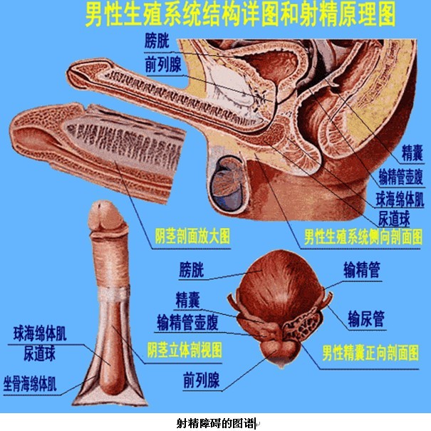 射精困难 射精困难