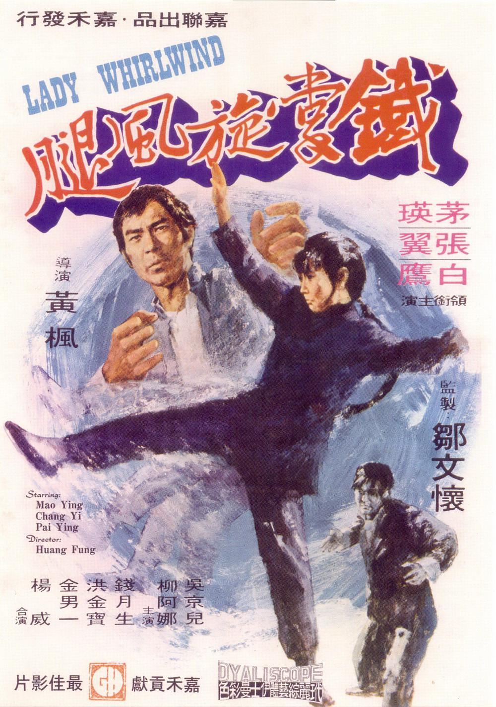 铁掌旋风腿 铁掌旋风腿